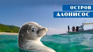 Остров Алонисос, Греция |  travel,  путешествия