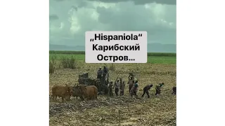 Жизнь в Доминиканской Республике жителей Гаити на плантациях сахарного трасника.