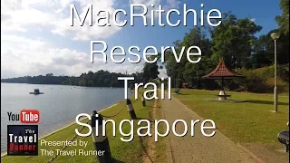 Singapore MacRitchie Nature Preserve Trails