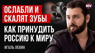 Якщо ви бідні, купуєте зброю у РФ. Якщо дуже багаті – в Ізраїлю – Ігаль Левін