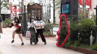 植物が突然動き出すドッキリ / BUSHMAN Prank in Japan Part.4