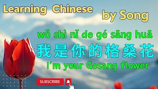 我是你的格桑花 - I'm your Gesang flower | Learn Chinese by beautiful song.