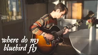 where do my bluebird fly - the tallest man on earth || cover