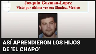El favor que pidió ‘El Chapo’ para que sus hijos se iniciaran con bajo perfil en el narcotráfico