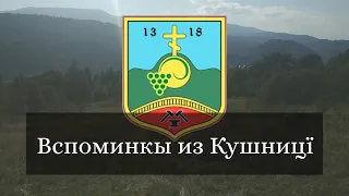 Вспоминкы из Кушницї