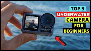 Top 5 Best Underwater Camera for Beginners & Scuba Diving in 2024 (Buying Guide & Review)