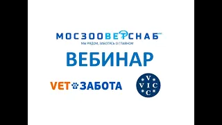 Офтальмологические заболевания грызунов