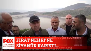 Fırat Nehri’ne siyanür karıştı... 25 Haziran 2022 FOX Ana Haber Hafta Sonu