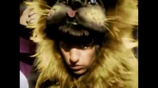 enjoy ringo's cute little 'rawr' while i try to get my life together
