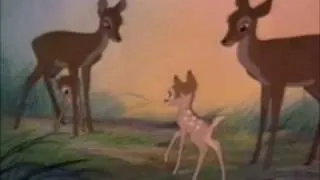 Bambi You Are Not Alone!