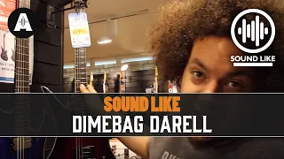 Sound Like Dimebag Darrell | Without Busting The Bank