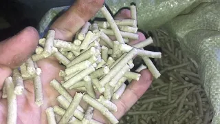 Получить Твёрдую Пеллету Из Сырых Сосновых Опилок Возможно! Get Hard Pellet From Raw Pine Sawdust Po