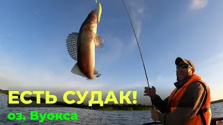 Рыбалка на оз.  Вуокса с семьями. Все таки есть судак на Вуоксе! #рыбалка #охотаирыбалкадлядуши