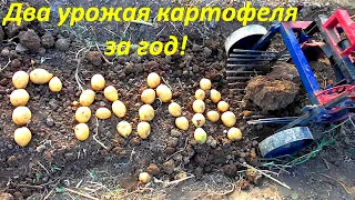 НЕ убиваемая картофелекопалка!