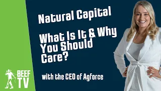 Evaluating the natural capital on your property