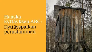 Haaskakyttäyksen ABC: Kyttäyspaikan perustaminen