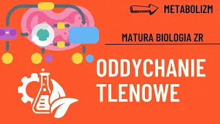 Oddychanie tlenowe. Matura Biologia ZR