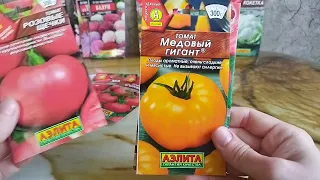 Обзор томатов, капусты. Мартовский посев 2024г.