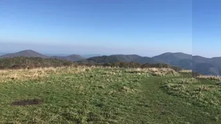 Max Patch to Hot Springs Section Hike