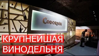 Самая большая винодельня мира! Cavas Codorníu