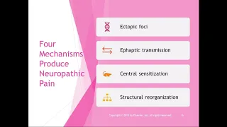 Chapter 12 Lecture Part 1 Neuropathic Chronic Pain