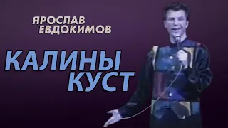 Ярослав Евдокимов - Калины куст