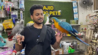 Sab se saaste mein milenge exotic birds