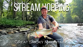 Stream Hopping:  Fly Fishing CHEROKEE and the SMOKIES in Late Spring | Episode 2
