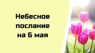 Небесное послание на 6 мая. Сезонность.