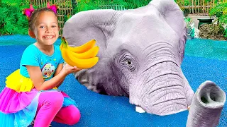 Zoo Song! Collection Funny Kids Song and Nursery Rhymes