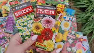 Они цветут ВСЁ ЛЕТО и РАСТУТ БЕЗ УХОДА! Посейте ЭТИ ОДНОЛЕТНИКИ ПРЯМИКОМ В ГРУНТ