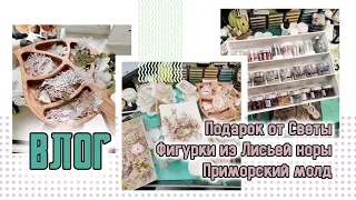 ВЛОГ / Подарок от Светы/ фигурки из Лисьей норы / примовский молд