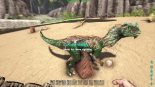 Dino dance party