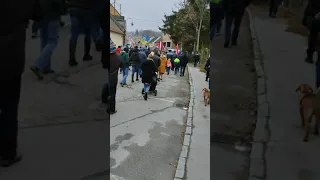 Demonstration gegen Corna-Maßnahmen (Mistelbach 14.11.2021)NEIN zum Lockdown für Ungeimpfte