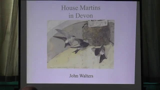 A talk on House Martins and how to help them, John Walters