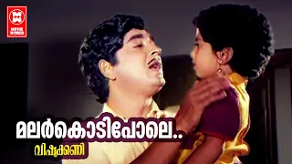 Malarkodipole | Vishukani | Sreekumaran Thampi | Salil Chowdury | KJ Yesudas |  Evergreen Old Songs