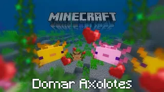 Como domesticar os Axolotes No Minecraft • MINECRAFT 1.17