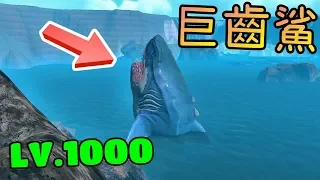 等級1000 巨齒鯊※海底大獵殺《Feed and Grow: Fish》