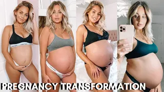 PREGNANCY TRANSFORMATION | BUMP WEEK BY WEEK *WITH TWINS* | Lucy Jessica Carter