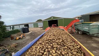 Potato harvest 2023 🥔🥔