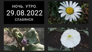 Славянск 29 августа 2022 — Ночь. Громко. Утро.