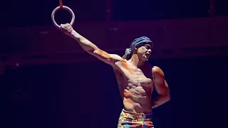 Cirque Du Soleil Performer Falls To His Death During Performance