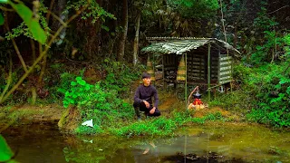 2 Days solo survival CAMPING. Bushcraft Survival Shelter by the Stream, Foraging For Food, Cooking