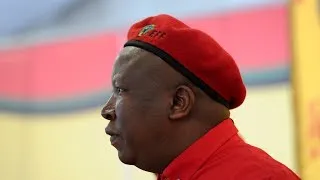 Malema's vision for land reform