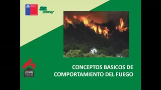 Taller 4, parte 2: Conceptos básicos de incendios forestales