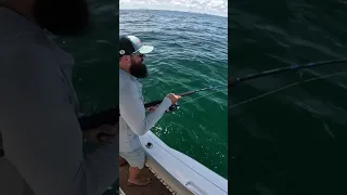 Spicy sausage catches giant fish! #crazy #fishing #offshorefishing