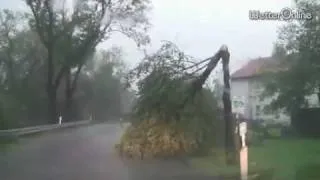 Hagelunwetter im Allgäu - Sturmböen knickten Bäume um