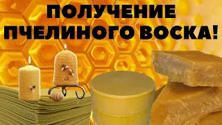 ПЧЕЛИНЫЙ ВОСК!