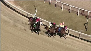 LAUREL PARK 02 25 2024 RACE 7