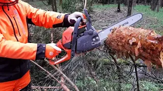 Best new hobby chainsaw Husqvarna 135 MARK II